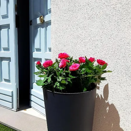 Bianca - Marlu House - * Càbras