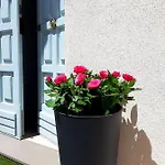 Bianca - Marlù House - * Càbras